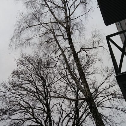 Foto pēc darbu veikšanas