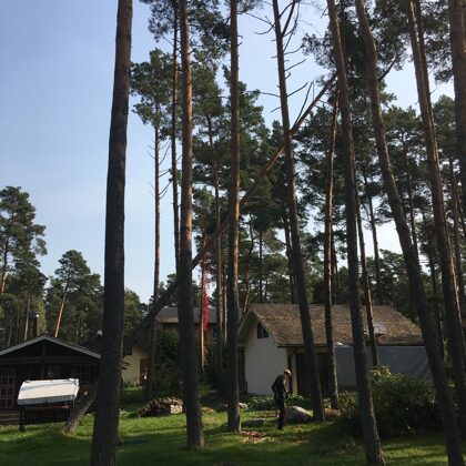 Ārkārtas izsaukums, iekāries koks