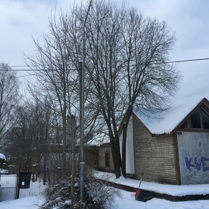 Koks traucē jaunas ieejas izveidei