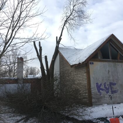 Koku pakāpeniski, izmantojot virves nozāģē