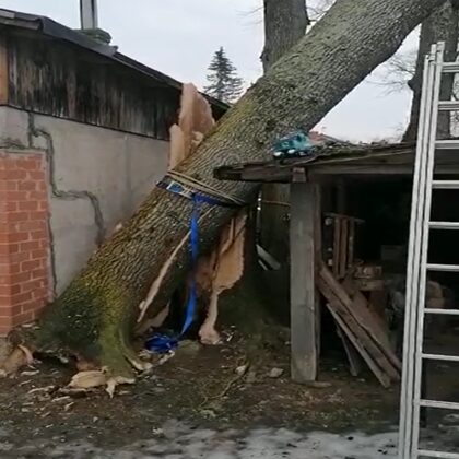 Apm. 10 tonnas smaga oša noņemšana virs šķūņa ar celtni