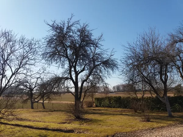 Augļu dārzu kopšana