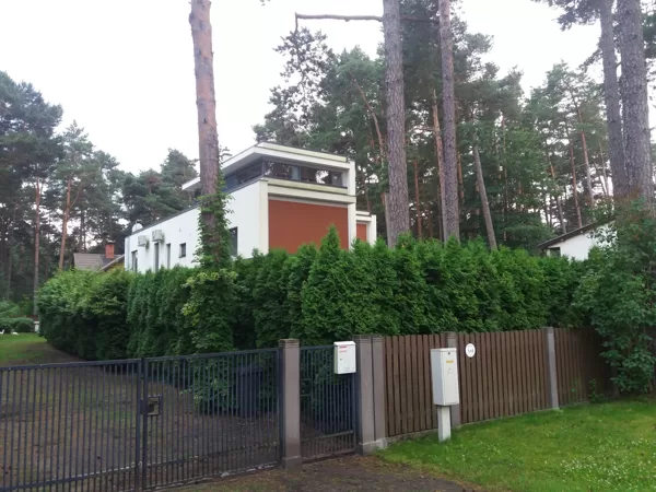 Tūju kopšana līdzinot augšdaļu