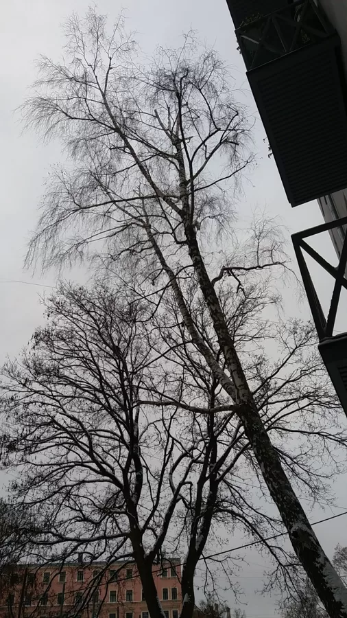 Foto pēc darbu veikšanas