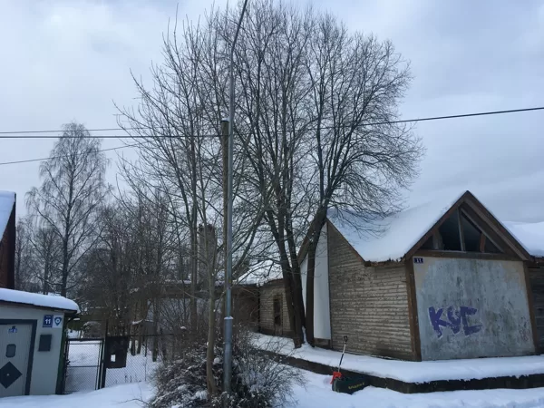 Koks traucē jaunas ieejas izveidei