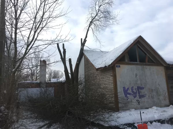 Koku pakāpeniski, izmantojot virves nozāģē